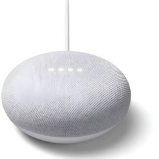 Google Nest mini